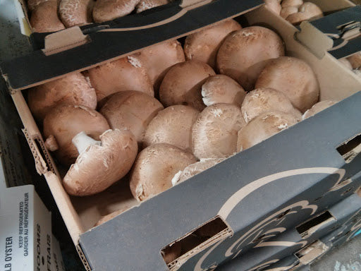 【USA】  PORTOBELLO MUSHROOM- 5 LB/BOX
