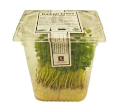 【US】KAIWARE DAIKON CRESS