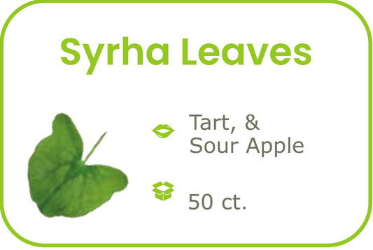 Syrha Leaves- start from 09/15/2026