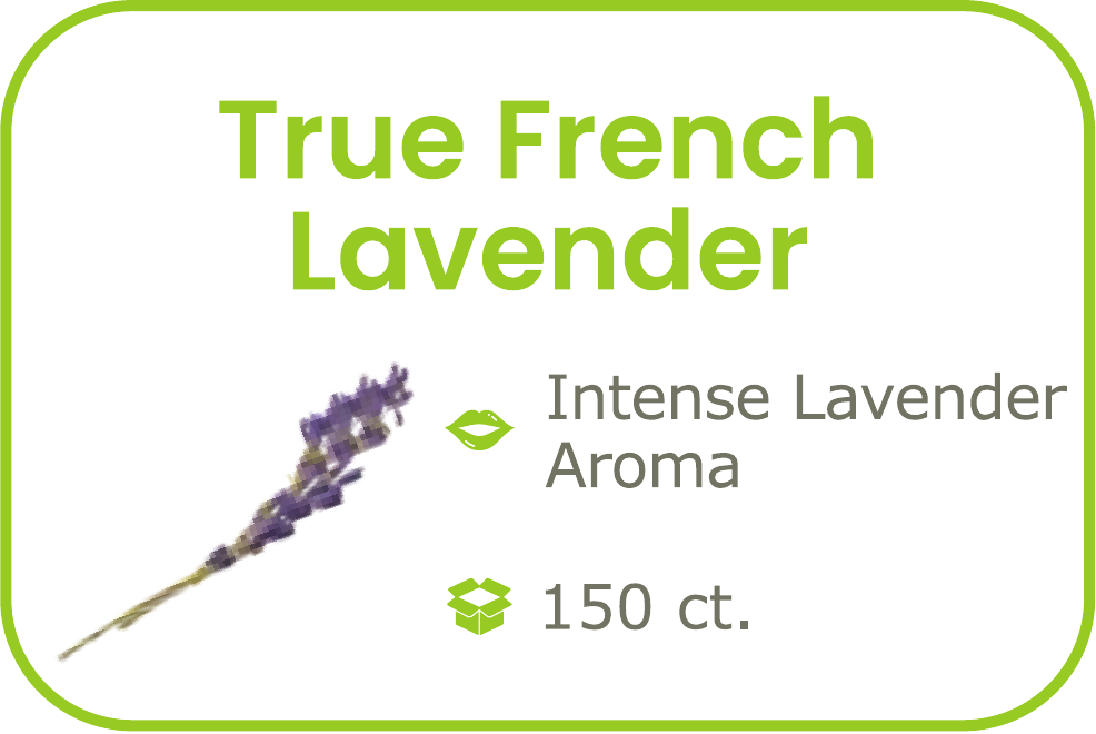 True French Lavender - start from 09/15/2026