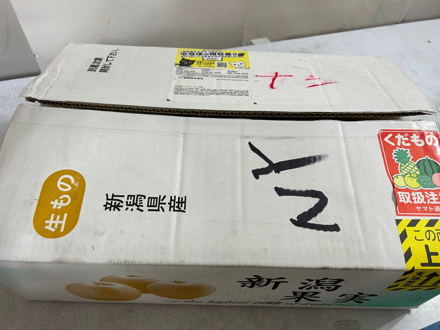 【JAPAN】JAPANESE PREMIUM PEAR 7p-12P/BOX