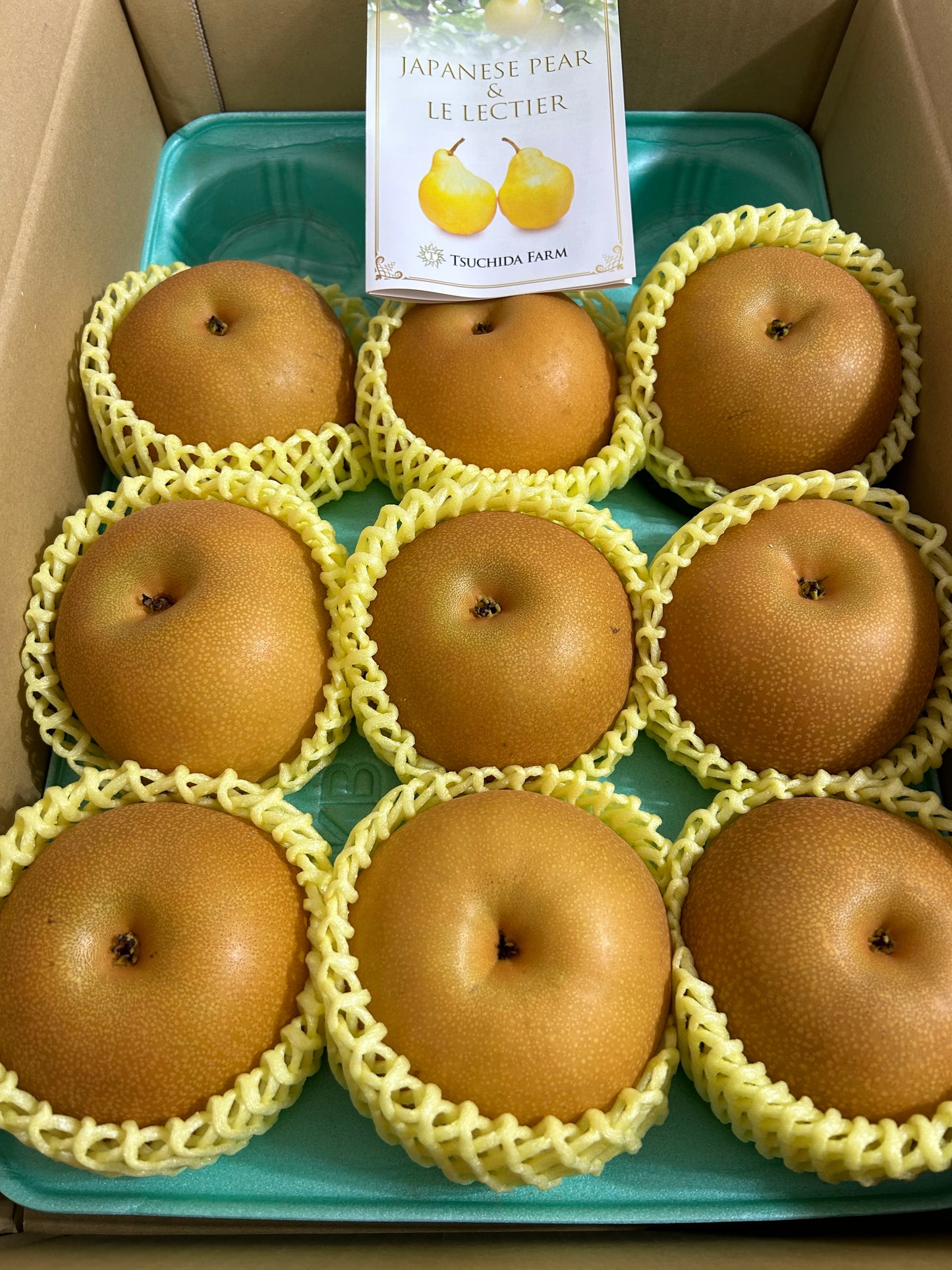 【JAPAN】JAPANESE PREMIUM PEAR 7p-12P/BOX