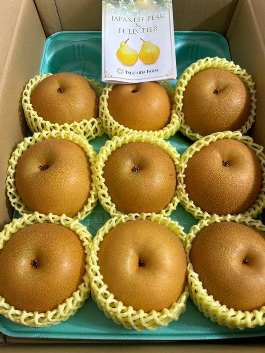 【JAPAN】JAPANESE PREMIUM PEAR 7p-12P/BOX