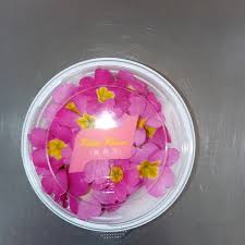 0 NEW EDIBLE FLOWERS ポニー 桜草 ピンク 80G