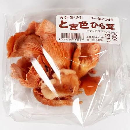ときいろひらたけ 朱鷺色平茸 100g TAKE