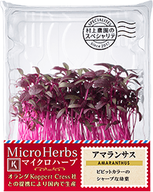 NEW MICRO HERBS AMARANTHUS　アマランサス
