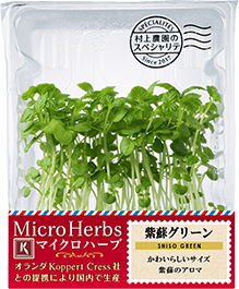 NEW MICRO HERBS SHISO GREEN