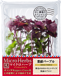 NEW MICRO HERBS SHISO PURPLE