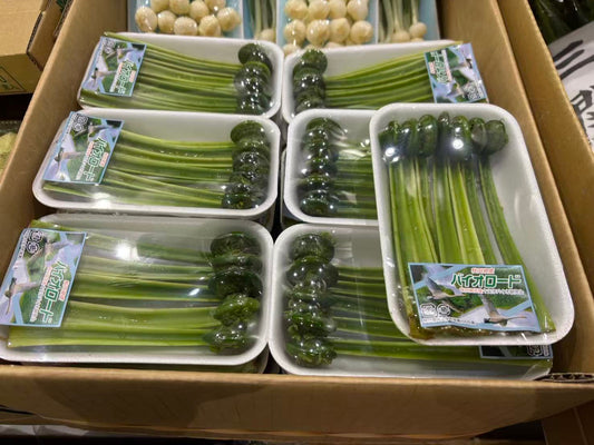 0 NEW KOGOMI こごみ 50G 秋田県