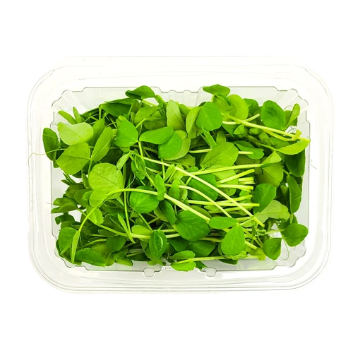 Pea Tendrils- start from 09/15/2026