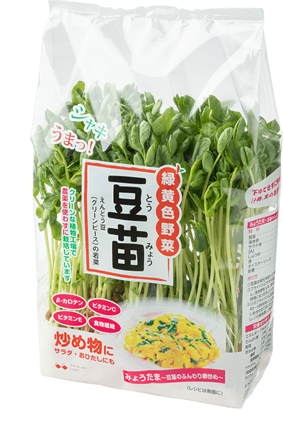 NEW MICRO HERBS 豆苗(とうみょう) SOYBEAN SPOURT