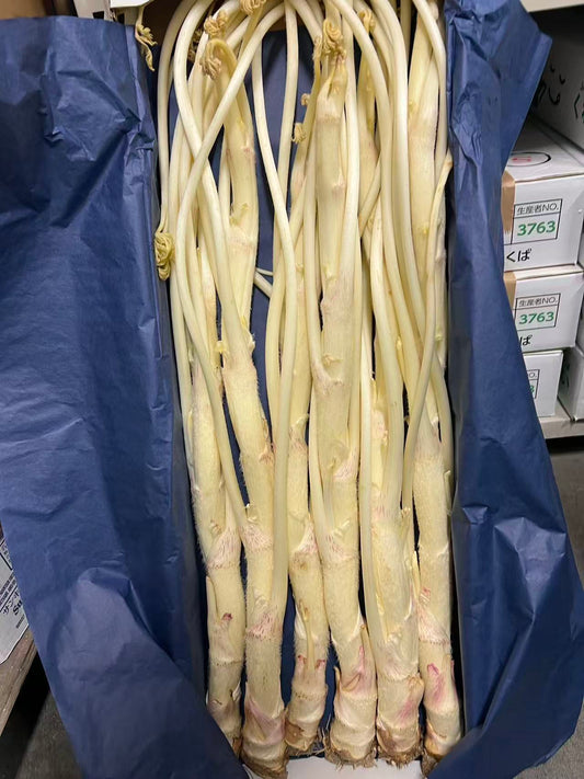 00 new【日本産】 ウド UDO  1 ケース 4kg