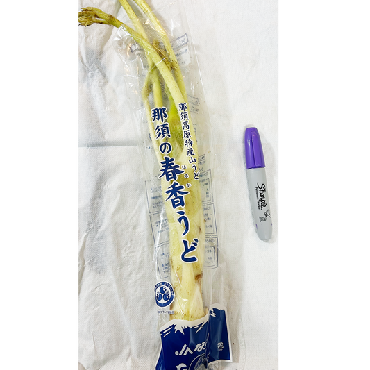 天然 山ウド WILD UDO 1P around 0.75lb